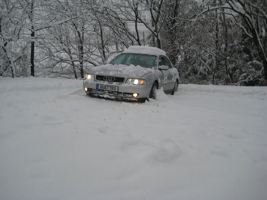 Name:  IMG_3562.jpg
Views: 322
Size:  144.3 KB
