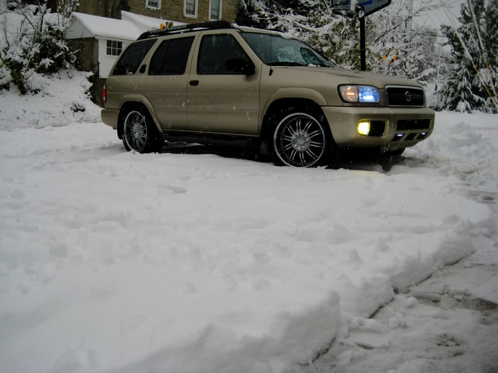 Name:  IMG_3587_edited.jpg
Views: 274
Size:  102.5 KB