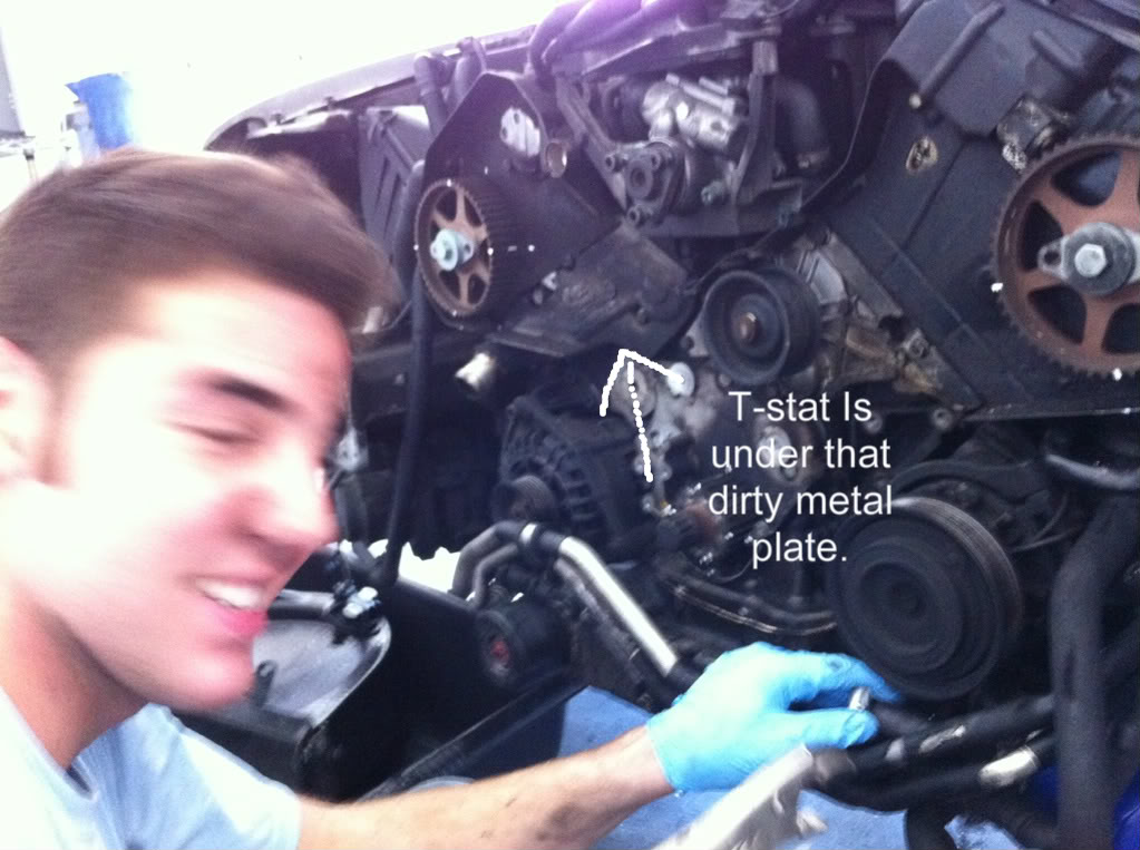 Name:  TBJob-1.jpg
Views: 33
Size:  115.6 KB