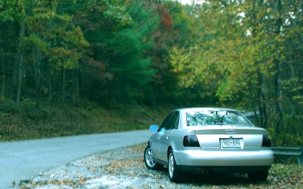 Name:  audifall.jpg
Views: 21
Size:  83.7 KB