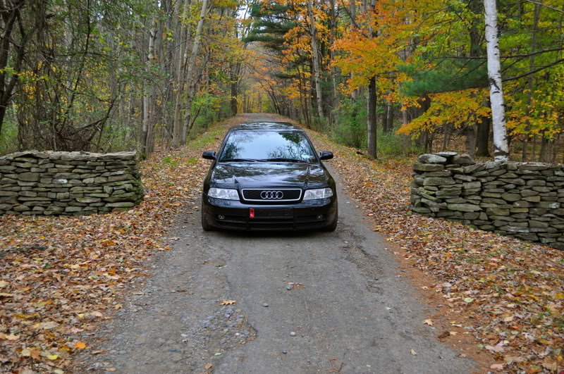 Name:  DSC_0069.jpg
Views: 126
Size:  169.7 KB