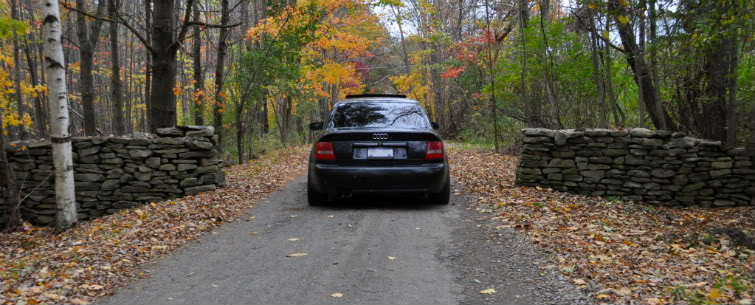 Name:  DSC_0072-Version3-2.jpg
Views: 83
Size:  86.3 KB