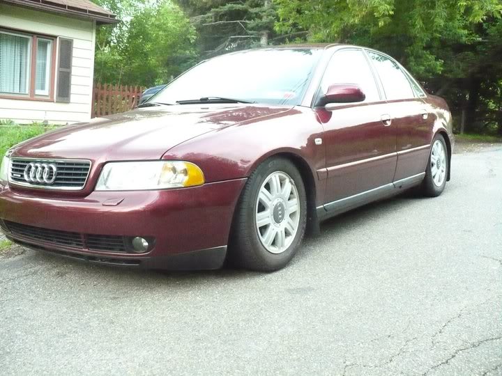 Name:  247160_10150277317851660_673501659_9059432_3753109_n.jpg
Views: 29
Size:  79.8 KB