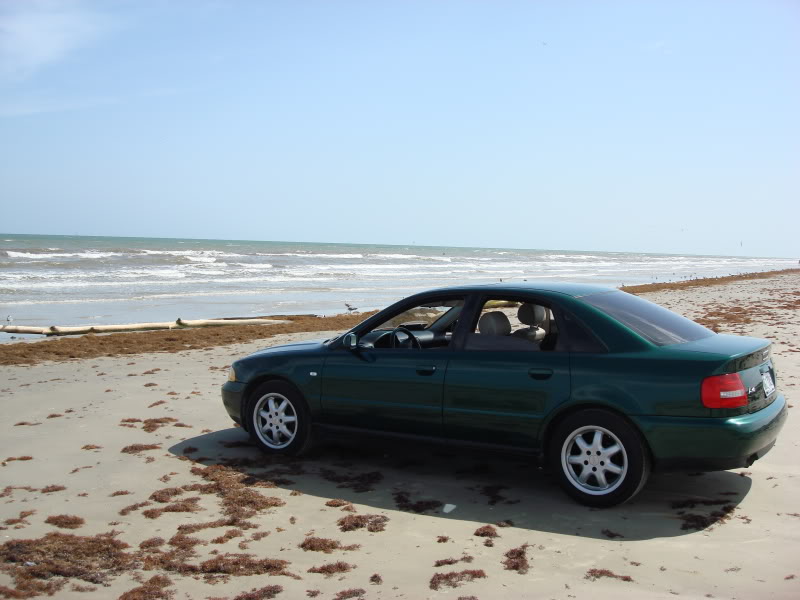 Name:  Texas07018.jpg
Views: 129
Size:  65.6 KB