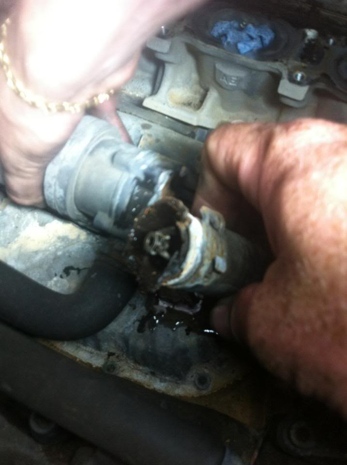 Name:  1000002224.jpg
Views: 39
Size:  49.3 KB