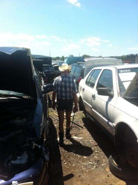 Name:  1000002203.jpg
Views: 39
Size:  35.7 KB