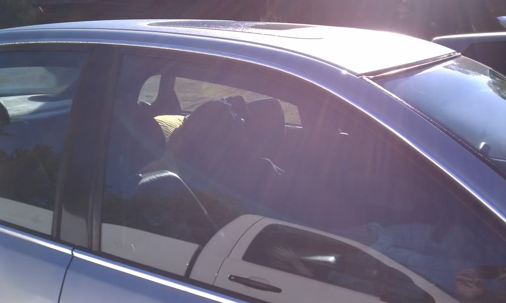 Name:  IMAG0295.jpg
Views: 30
Size:  52.7 KB