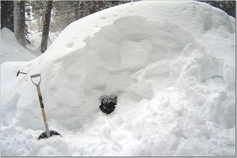 Name:  car_gas.jpg
Views: 77
Size:  23.7 KB