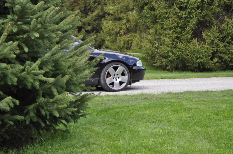 Name:  DSC_0061-1.jpg
Views: 59
Size:  130.8 KB