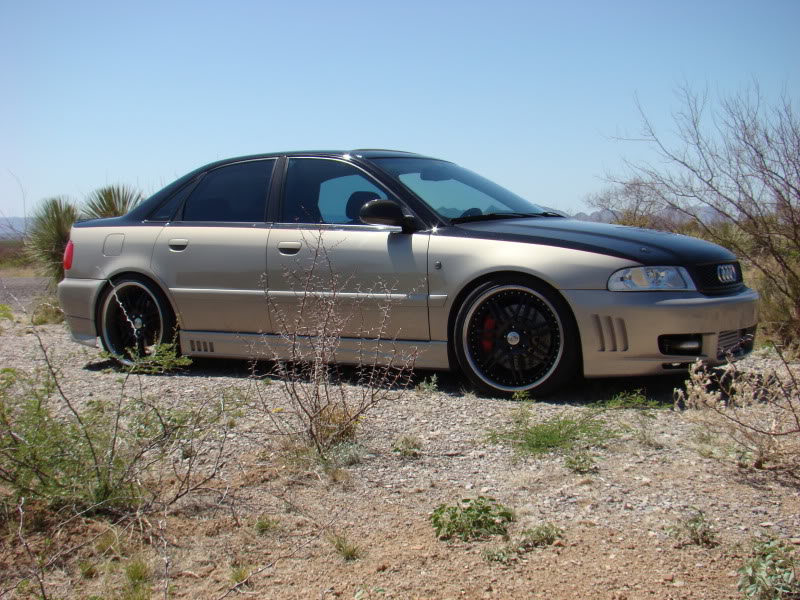 Name:  AudiDessert004.jpg
Views: 93
Size:  148.6 KB