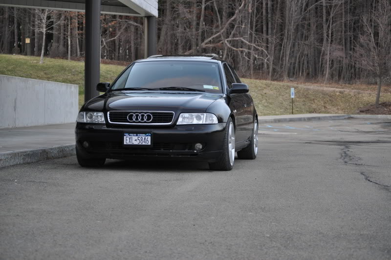 Name:  DSC_0033.jpg
Views: 21
Size:  78.9 KB