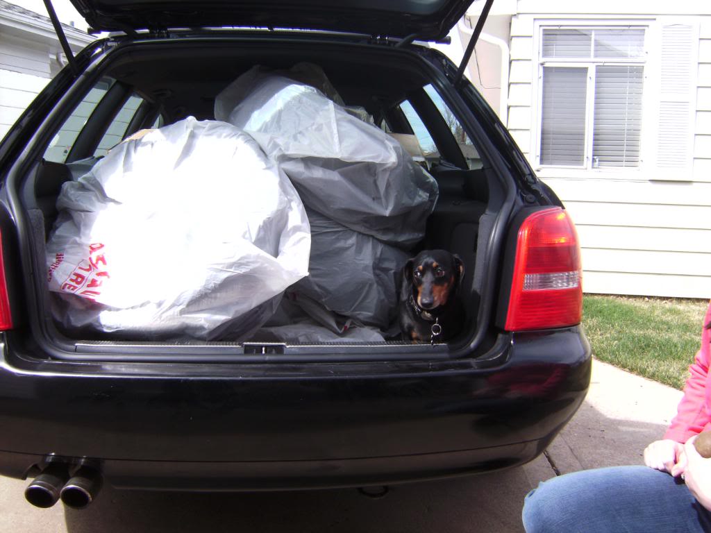 Name:  PICT1557.jpg
Views: 71
Size:  87.7 KB