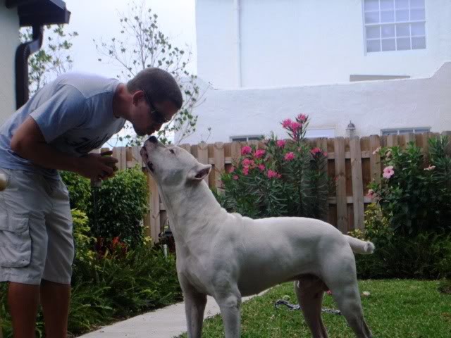 Name:  86138cdf.jpg
Views: 32
Size:  61.4 KB