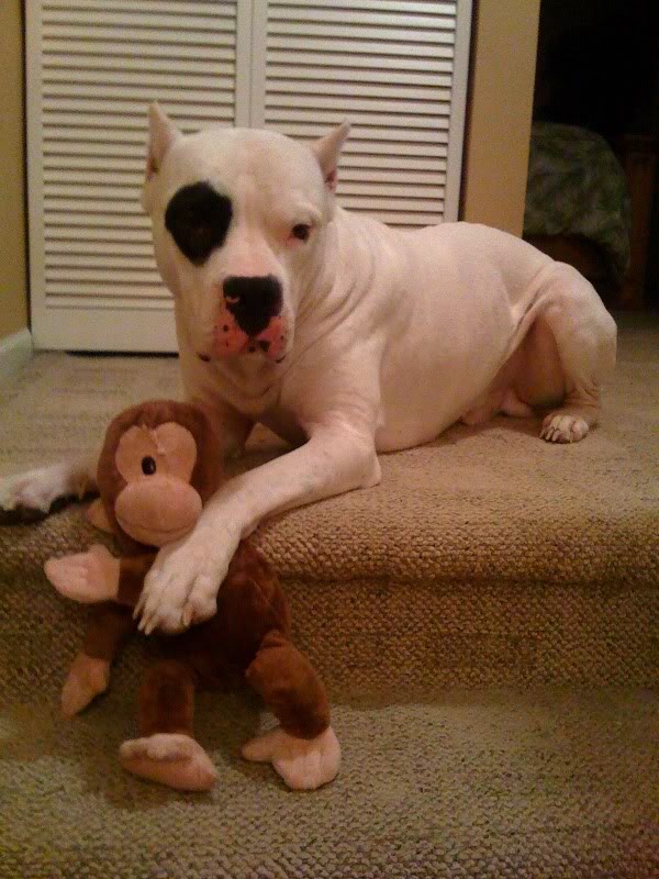 Name:  bd3ca221.jpg
Views: 69
Size:  101.9 KB