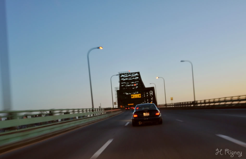 Name:  DSC_228012wm.jpg
Views: 34
Size:  42.9 KB