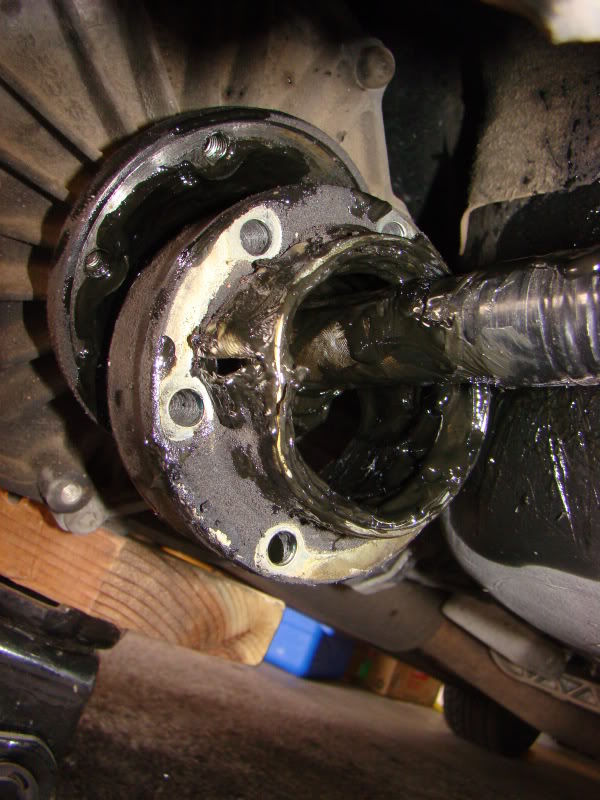 Name:  DSC07391.jpg
Views: 16
Size:  96.7 KB