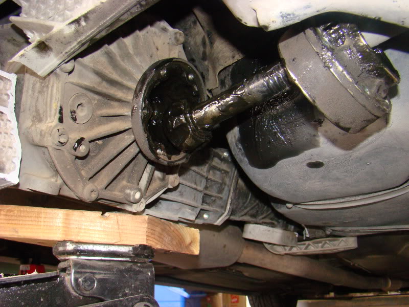 Name:  DSC07394.jpg
Views: 15
Size:  102.7 KB