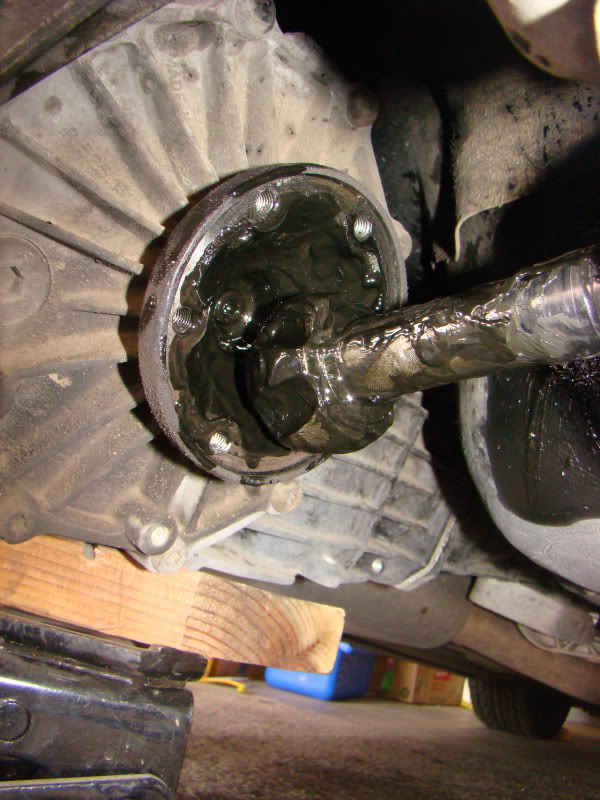 Name:  DSC07392.jpg
Views: 65
Size:  98.0 KB