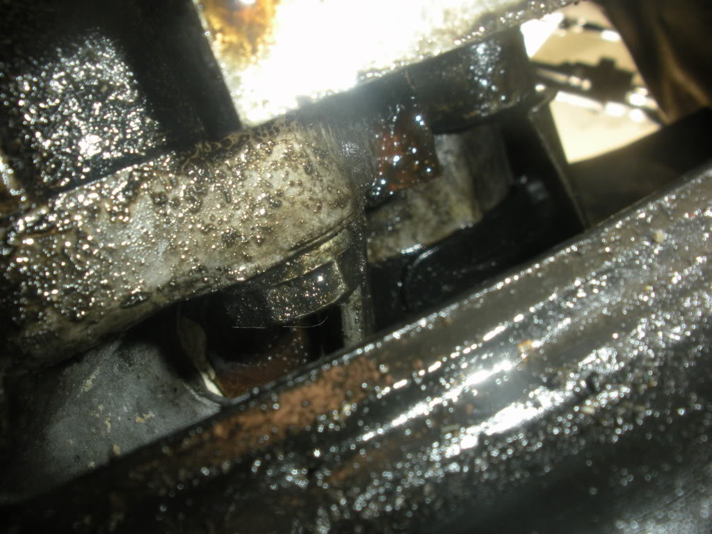 Name:  DSCN1807.jpg
Views: 1851
Size:  138.4 KB