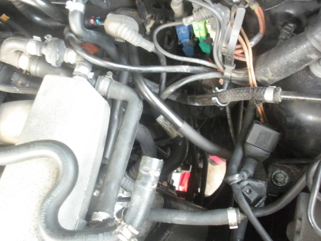 Name:  DSCN1742.jpg
Views: 2135
Size:  97.9 KB