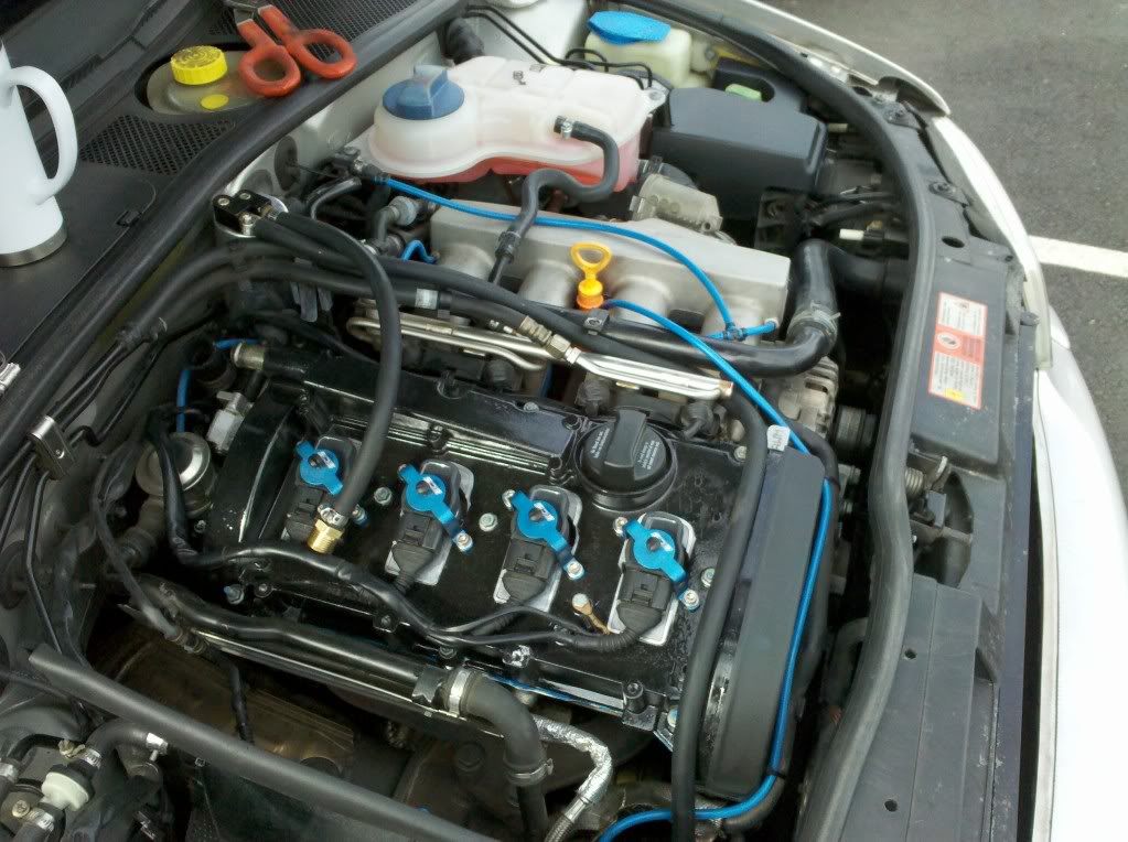 Name:  IMG_20110220_112435.jpg
Views: 26
Size:  131.5 KB