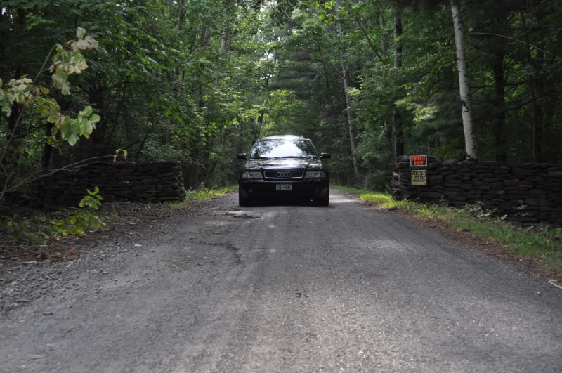 Name:  DSC_0530-1.jpg
Views: 20
Size:  116.8 KB