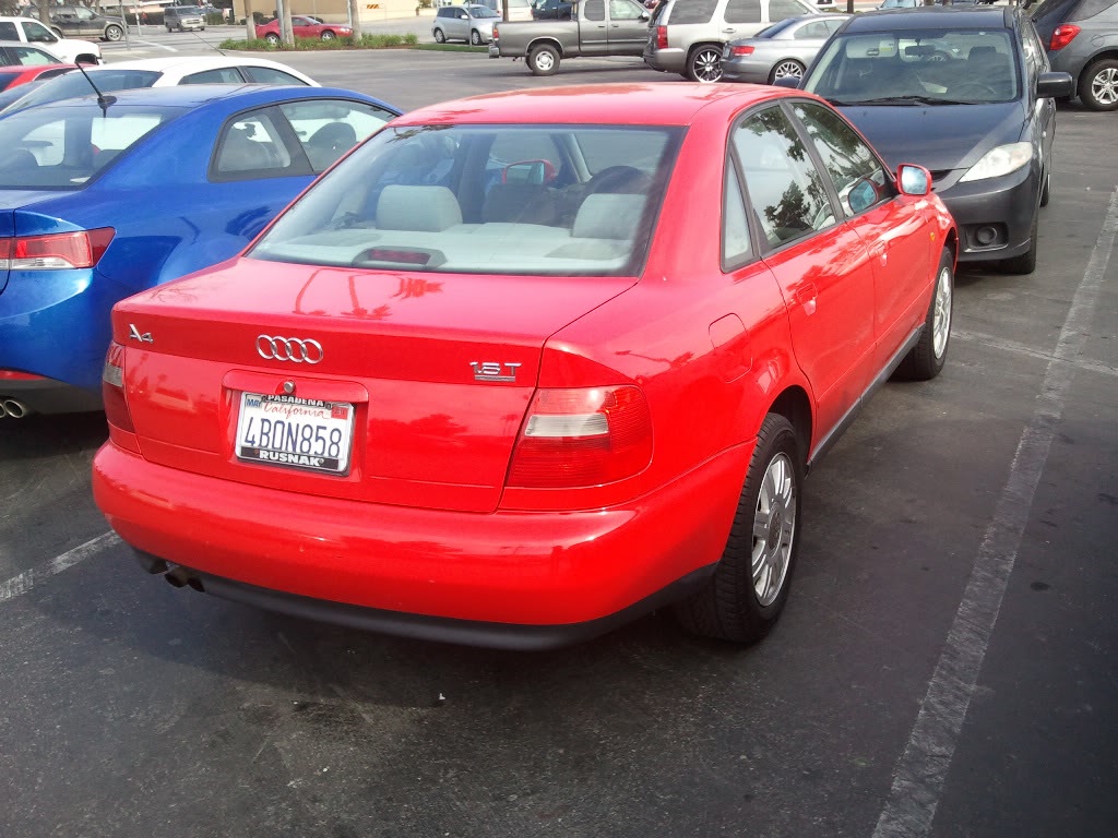 Name:  2011-02-05113304.jpg
Views: 16
Size:  161.7 KB