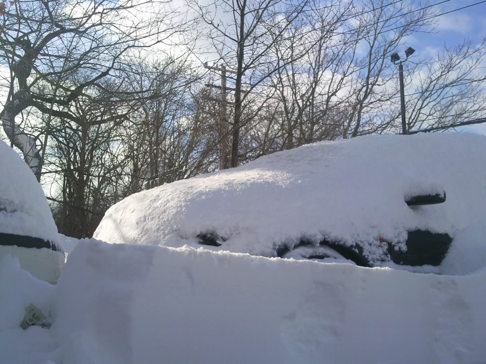 Name:  Photo0031.jpg
Views: 75
Size:  179.5 KB