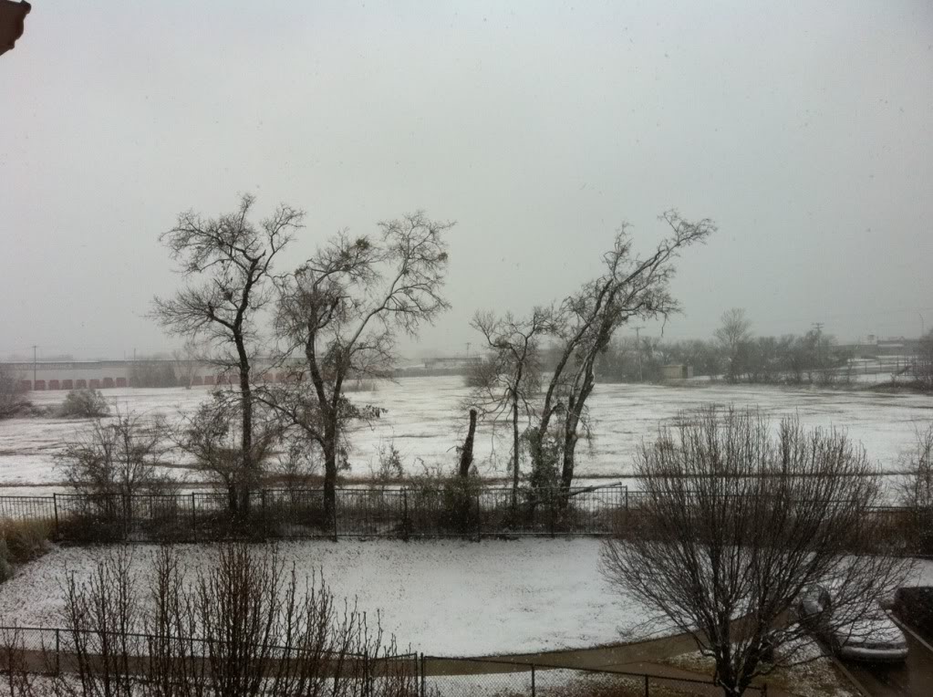 Name:  winter.jpg
Views: 133
Size:  152.0 KB