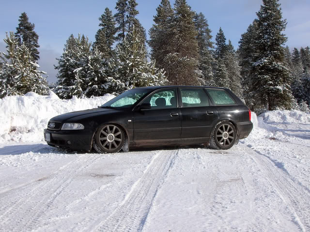 Name:  DSCN1613.jpg
Views: 62
Size:  103.1 KB