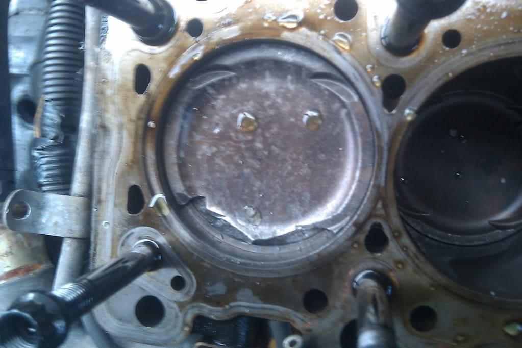 Name:  3f90e7e0.jpg
Views: 19
Size:  78.7 KB