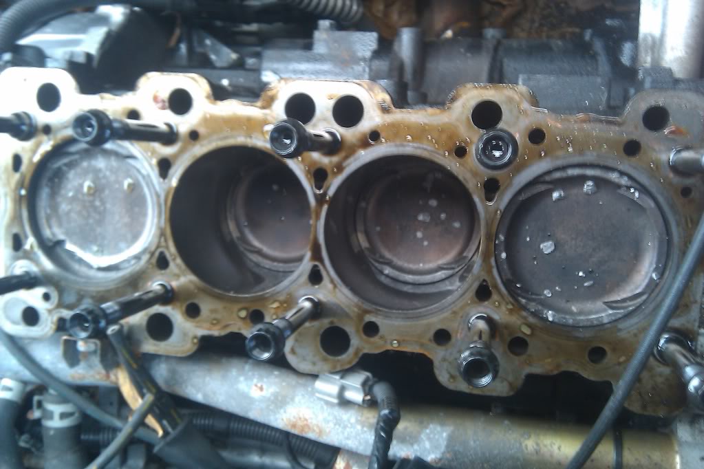 Name:  87fd46d0.jpg
Views: 20
Size:  90.1 KB