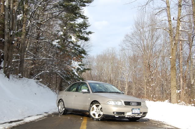 Name:  DSC_0375.jpg
Views: 44
Size:  125.9 KB