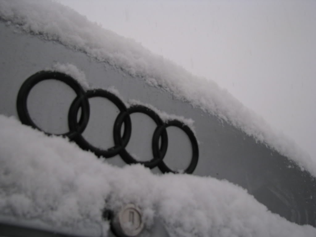 Name: img016.jpg
Views: 64
Size: 36.2 KB