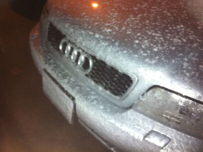 Name:  snow.jpg
Views: 30
Size:  49.9 KB