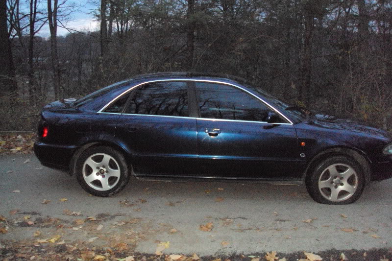 Name:  DSC00933.jpg
Views: 81
Size:  117.4 KB