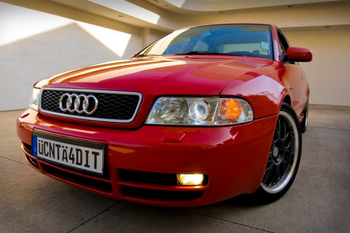 Name:  photo-7.jpg
Views: 38
Size:  58.3 KB