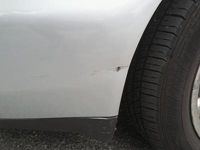 Morning Surprise-photo0347.jpg