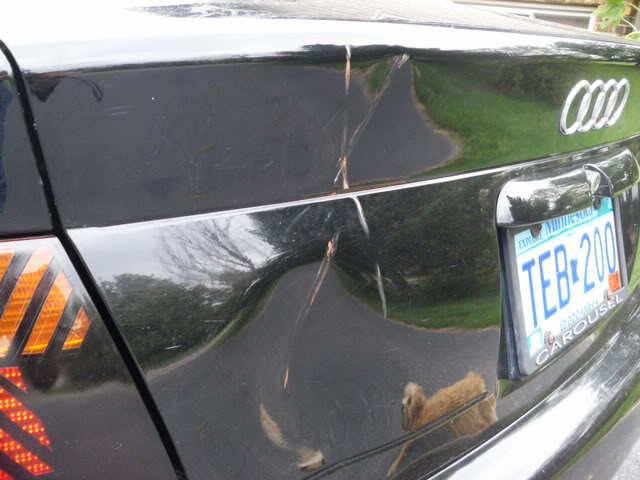 Name:  DSCI0634.jpg
Views: 32
Size:  100.6 KB