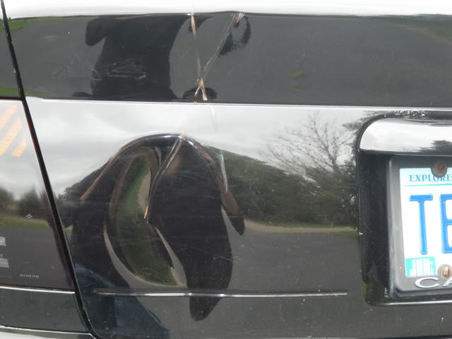 Name:  DSCI0638.jpg
Views: 56
Size:  86.0 KB