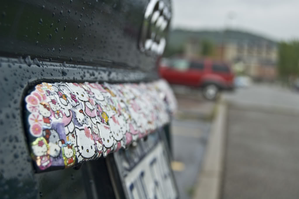 Name:  DSC_0182.jpg
Views: 22
Size:  70.0 KB