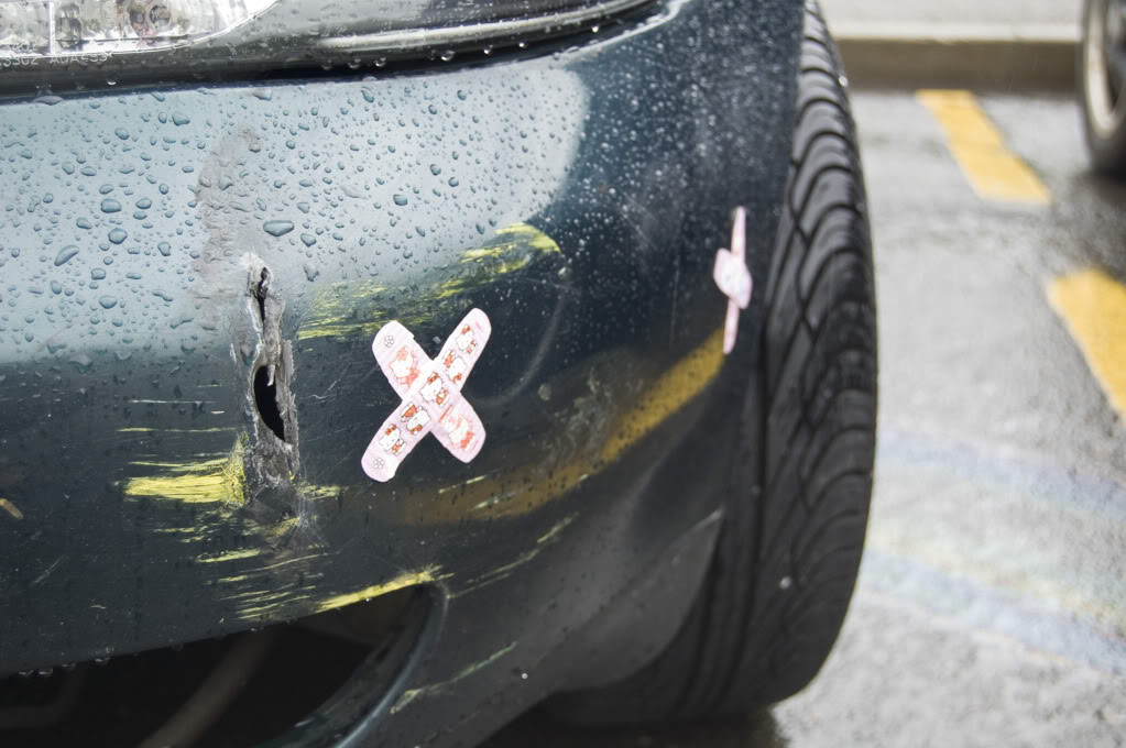 Name:  DSC_0185.jpg
Views: 28
Size:  111.0 KB