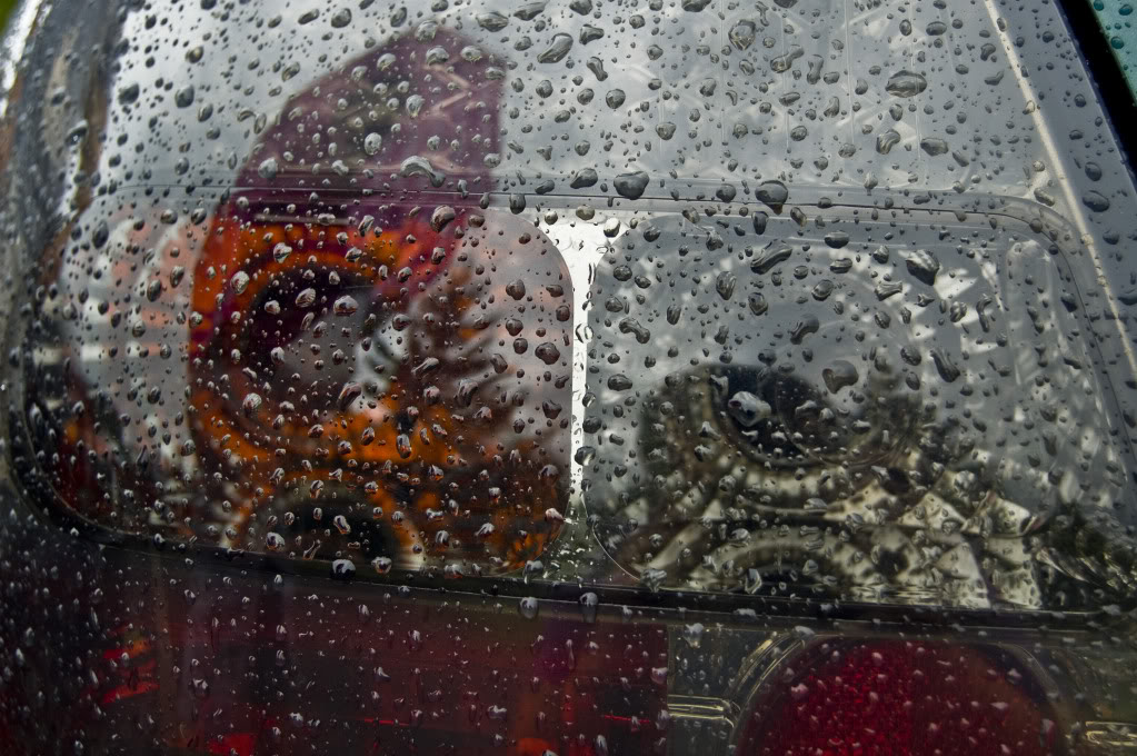 Name:  DSC_0186.jpg
Views: 28
Size:  182.3 KB