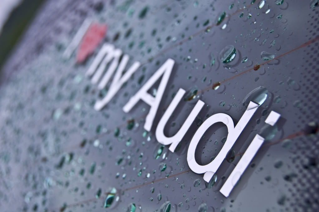 Name:  DSC_0187.jpg
Views: 35
Size:  71.9 KB