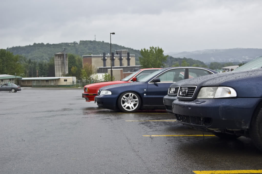 Name:  DSC_0191.jpg
Views: 26
Size:  98.8 KB