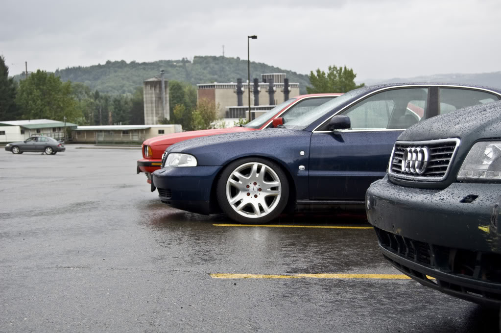 Name:  DSC_0192.jpg
Views: 33
Size:  133.9 KB