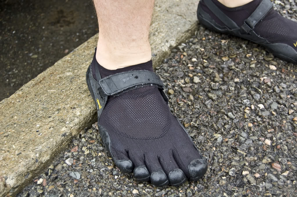 Name:  DSC_0193.jpg
Views: 29
Size:  218.6 KB