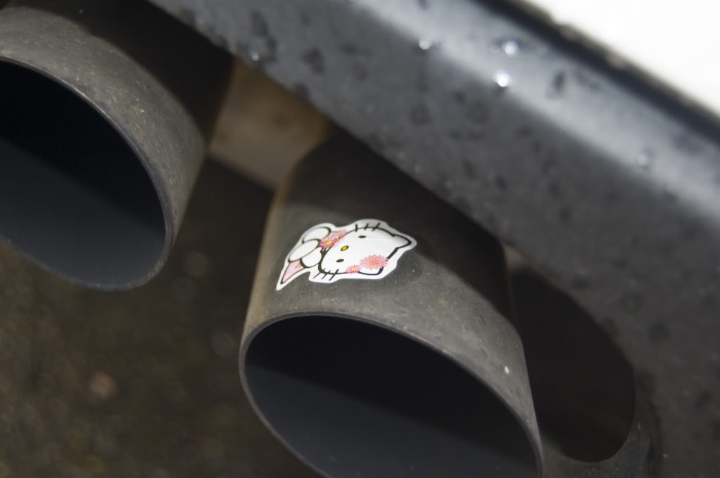 Name:  DSC_0194.jpg
Views: 36
Size:  43.4 KB