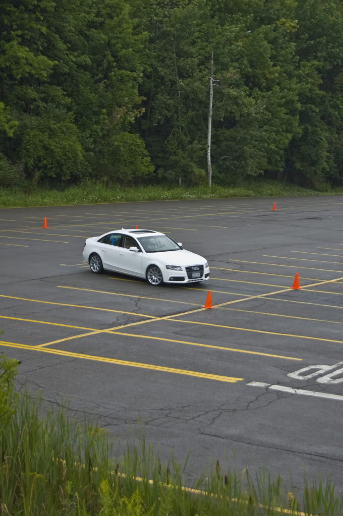 Name:  DSC_0163.jpg
Views: 28
Size:  116.8 KB