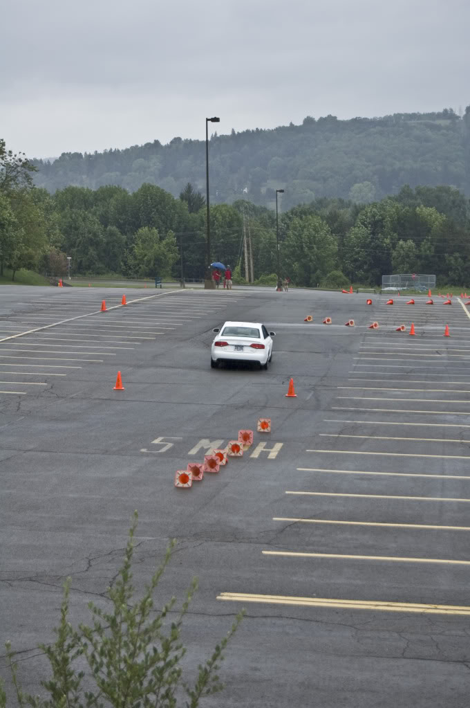 Name:  DSC_0164.jpg
Views: 27
Size:  96.2 KB